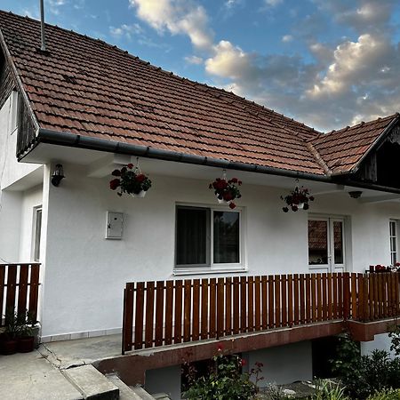 Lupeni Balazs Vendeghaz公寓式酒店 外观 照片