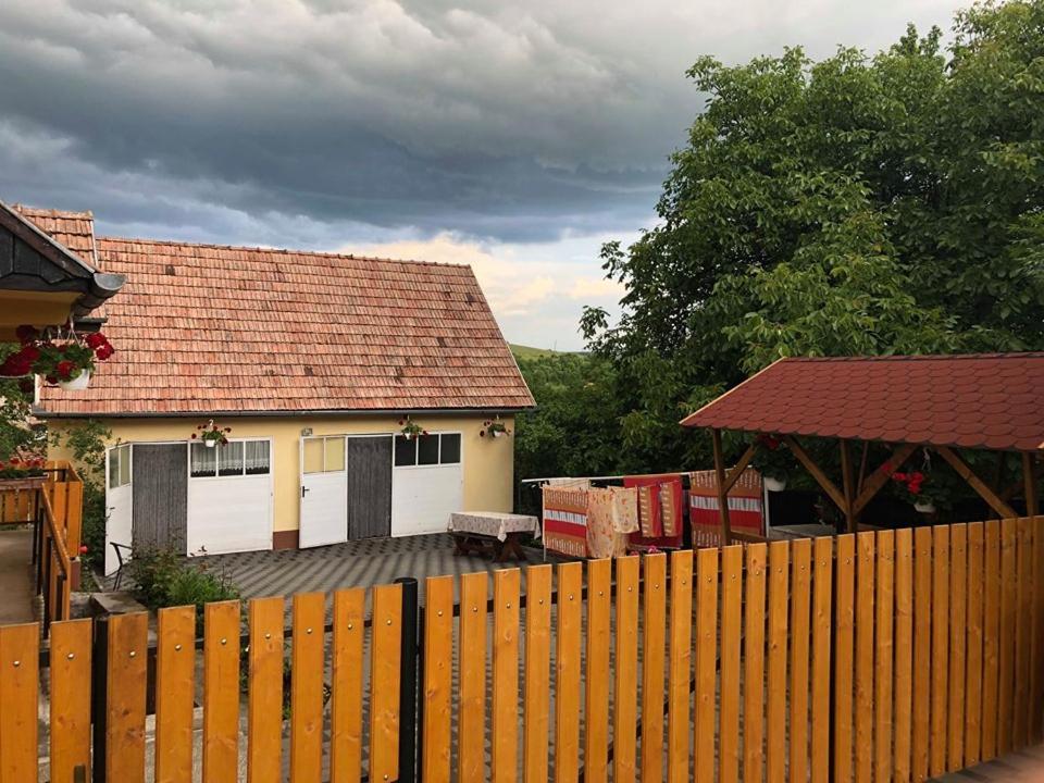 Lupeni Balazs Vendeghaz公寓式酒店 外观 照片