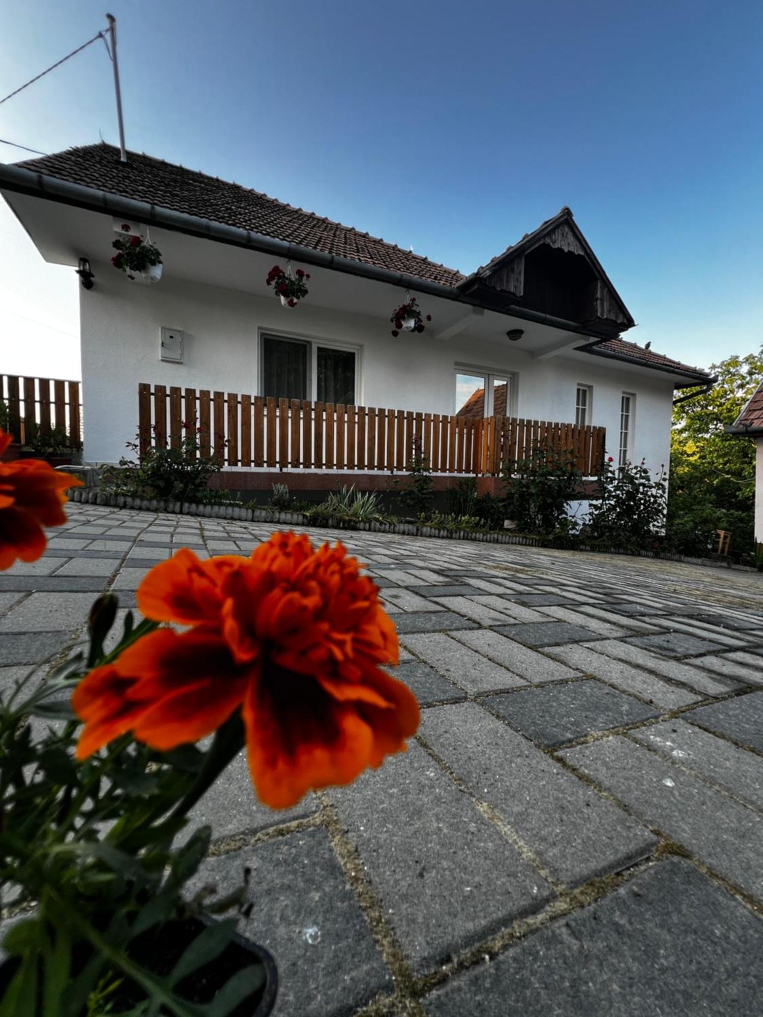 Lupeni Balazs Vendeghaz公寓式酒店 外观 照片